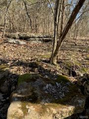 23 Turkey Ridge Court, Troy, MO 63379