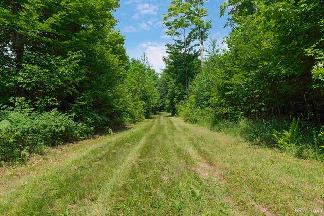 16151 Forest Road, Rock, MI 49880