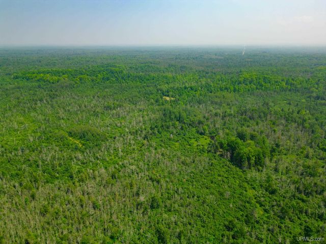 16151 Forest Road, Rock, MI 49880