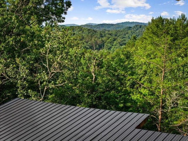 65 Wolf Creek Heights, Mineral Bluff, GA 30559