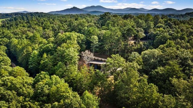 65 Wolf Creek Heights, Mineral Bluff, GA 30559