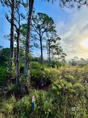 0 Gulf Crest Drive, Gulf Shores, AL 36542