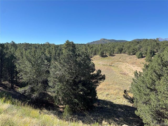 2835 Black Cloud Circle, Westcliffe, CO 81252