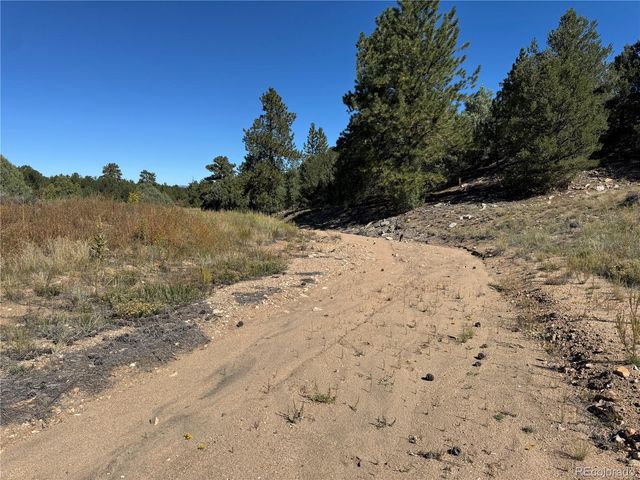 2835 Black Cloud Circle, Westcliffe, CO 81252