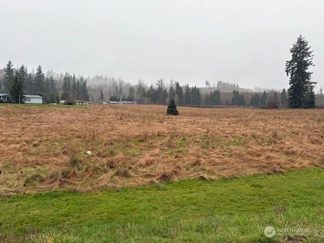 102 Maulwee Drive, Silver Creek, WA 98585