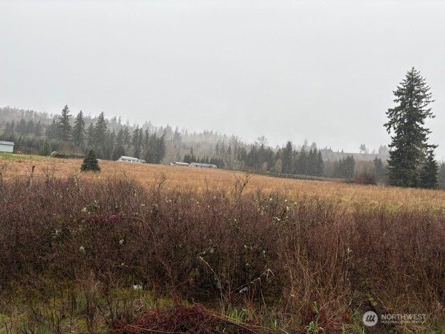 102 Maulwee Drive, Silver Creek, WA 98585