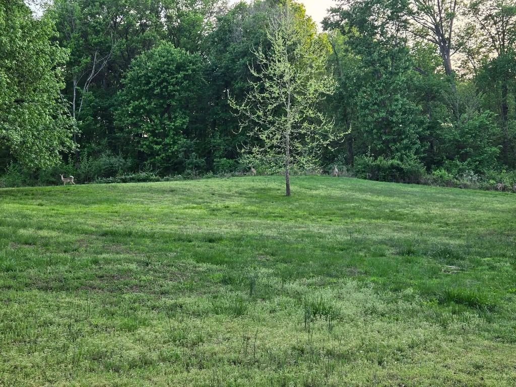 Image 44 of property listing at 17647 N Old Centralia Lane, Mt Vernon, IL 62864