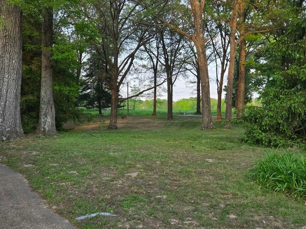 Image 46 of property listing at 17647 N Old Centralia Lane, Mt Vernon, IL 62864