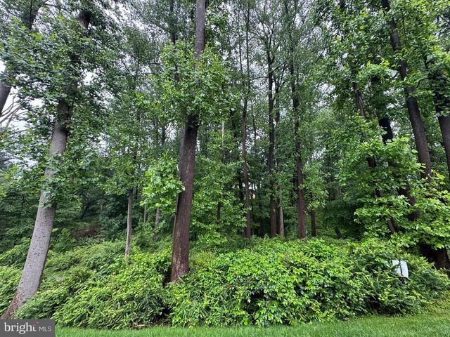 2410 VINEYARD SPRINGS WAY, Ellicott City, MD 21043