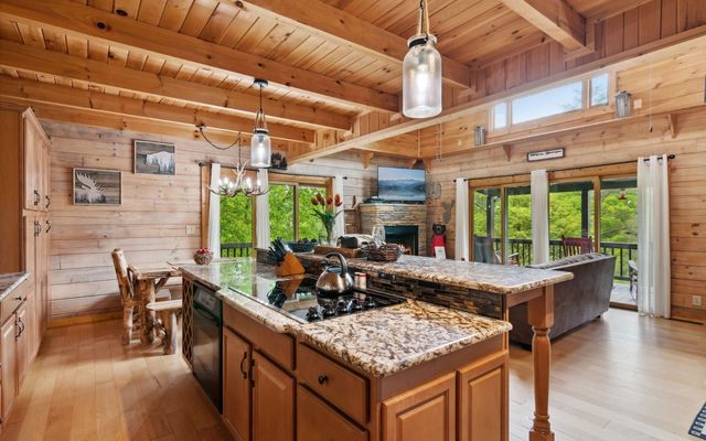462 Lyric Lane, Ellijay, GA 30540