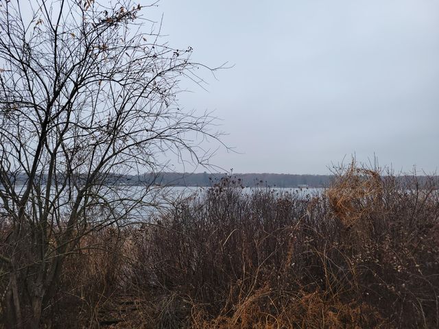 952 54th Street, Lee Twp, MI 49450