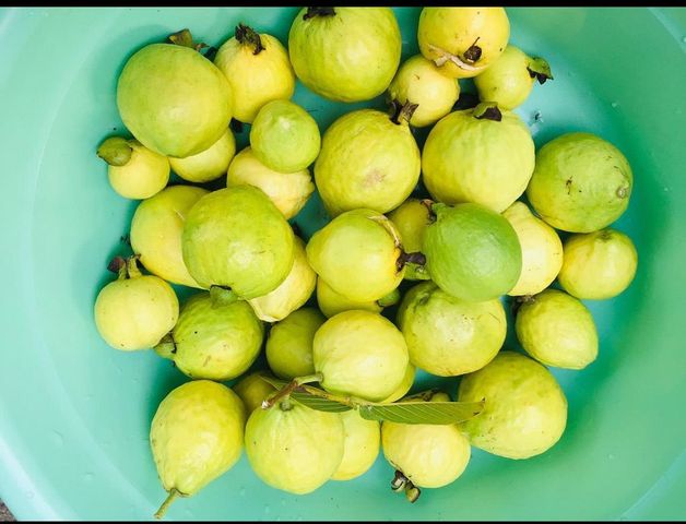 1034 Trenton Blvd, San Pablo, CA 94806