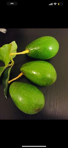 1034 Trenton Blvd, San Pablo, CA 94806