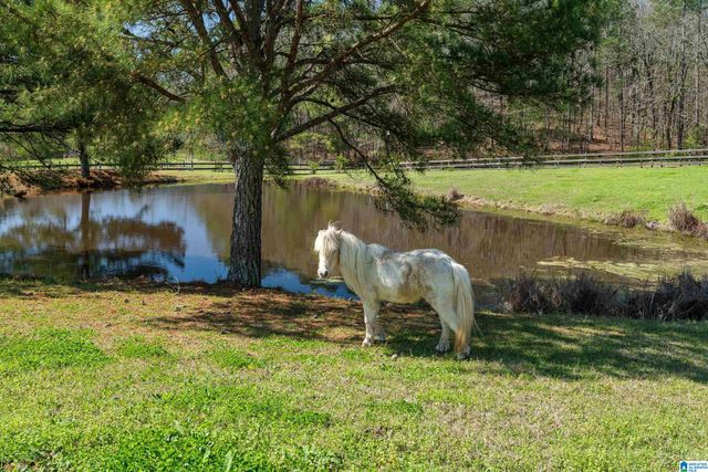 516 MEADOW LAKE FARMS, Calera, AL 35040