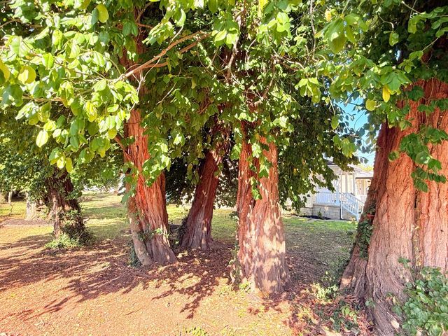 401 W Porter Street, Cleves, OH 45002