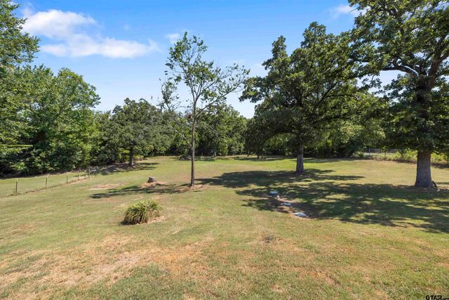 780 S FM 17, Alba, TX 75410