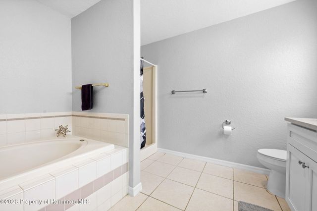 3190 Lema Drive, Spring Hill, FL 34609