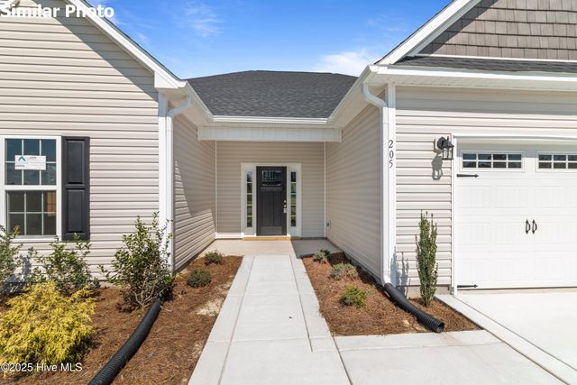 716 Puppy Drum Lane, Maysville, NC 28555