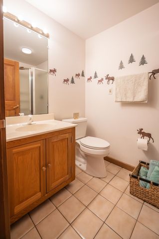 28 Summit Meadows Circle, Dover, VT 05356