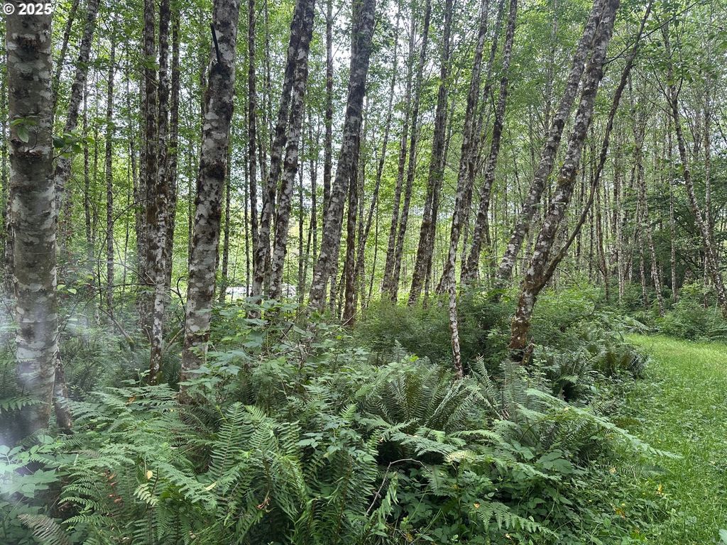 295 OAK POINT Rd, Longview, WA 98632