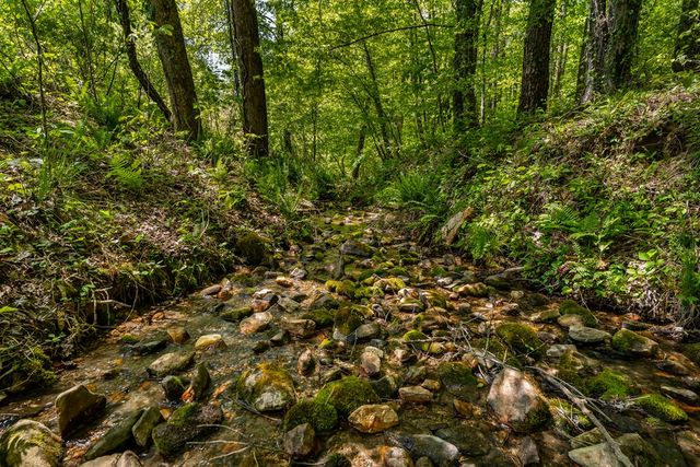 8954 Doublehead Gap Road, Blue Ridge, GA 30513