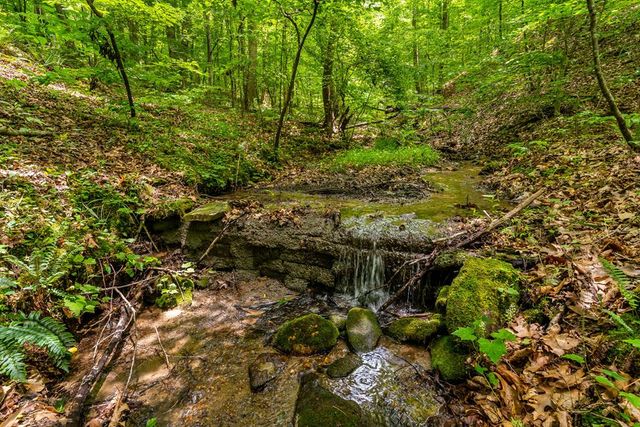 8954 Doublehead Gap Road, Blue Ridge, GA 30513