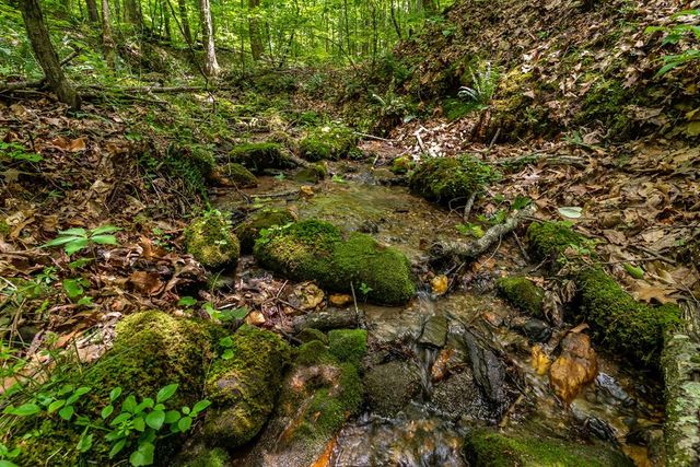 8954 Doublehead Gap Road, Blue Ridge, GA 30513