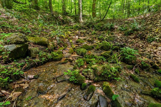 8954 Doublehead Gap Road, Blue Ridge, GA 30513