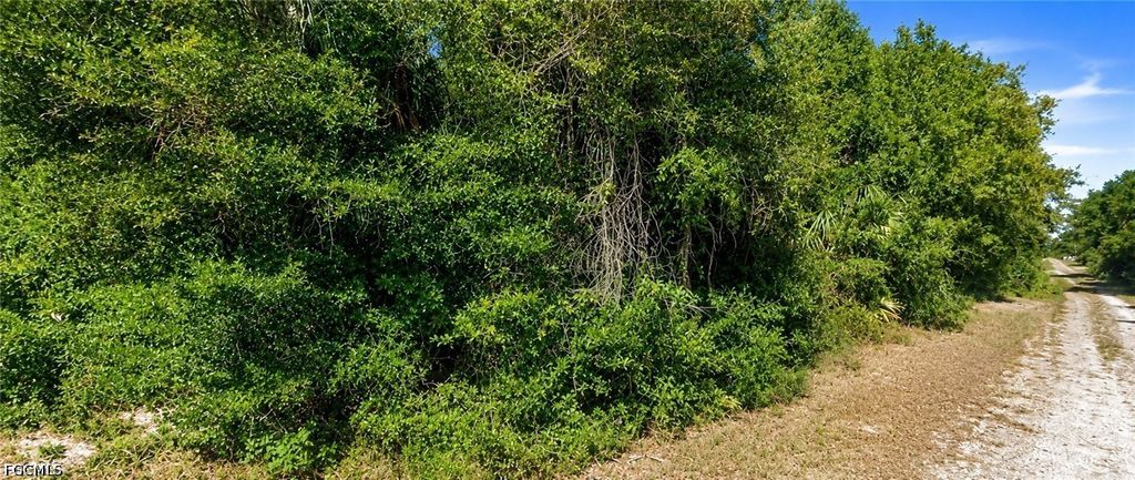 5900 Vera AVE N, Lehigh Acres, FL 33971