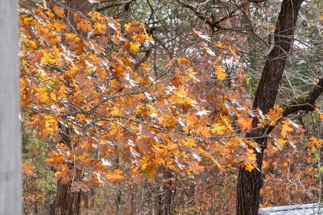 283 Cedar Lane, Rockaway Beach, MO 65740