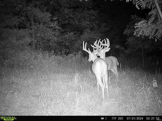 0 Osage Dr, New London, MO 63459