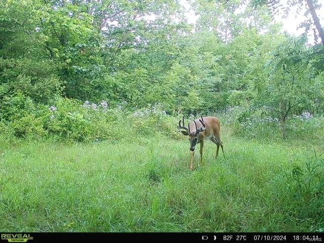 0 Osage Dr, New London, MO 63459