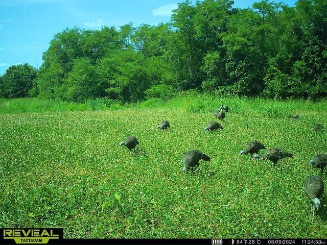 0 Osage Dr, New London, MO 63459