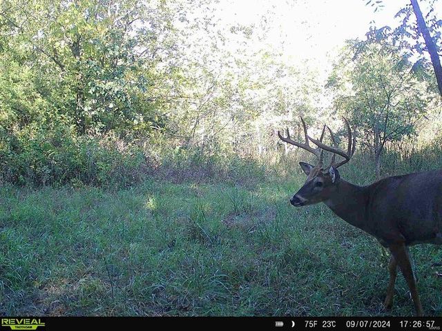 0 Osage Dr, New London, MO 63459