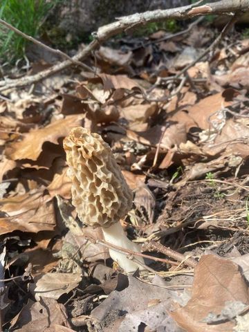 0 Osage Dr, New London, MO 63459