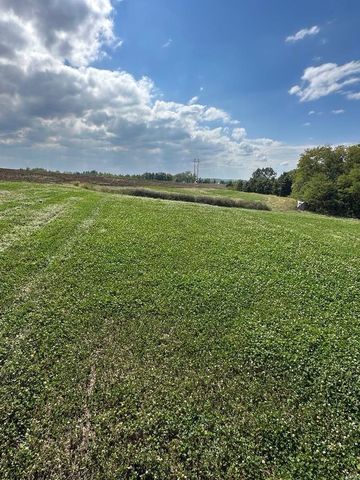 0 Osage Dr, New London, MO 63459