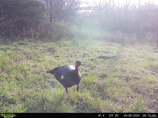 0 Osage Dr, New London, MO 63459