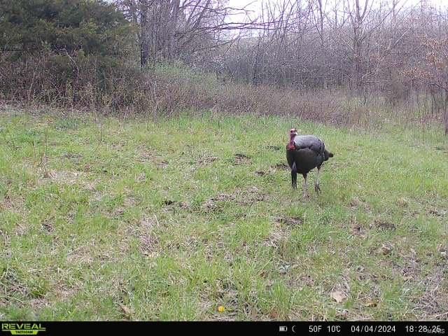 0 Osage Dr, New London, MO 63459