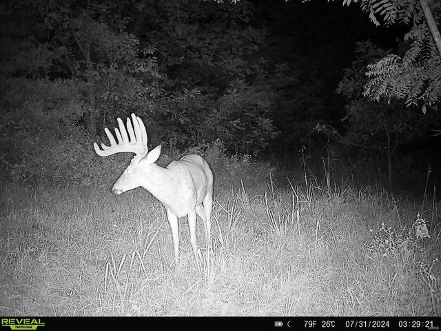 0 Osage Dr, New London, MO 63459