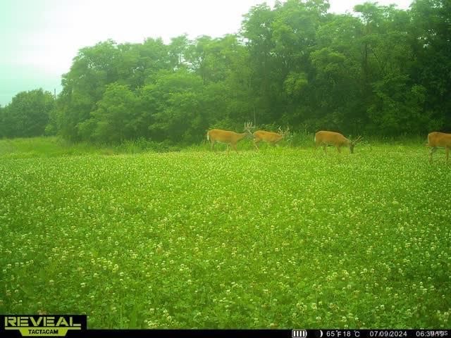 0 Osage Dr, New London, MO 63459