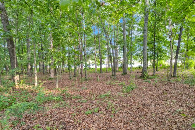 0 Starlight Rd, Mcminnville, TN 37110
