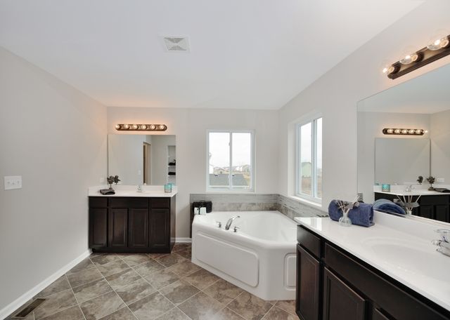 25902 W Ravine Woods Drive, Channahon, IL 60410