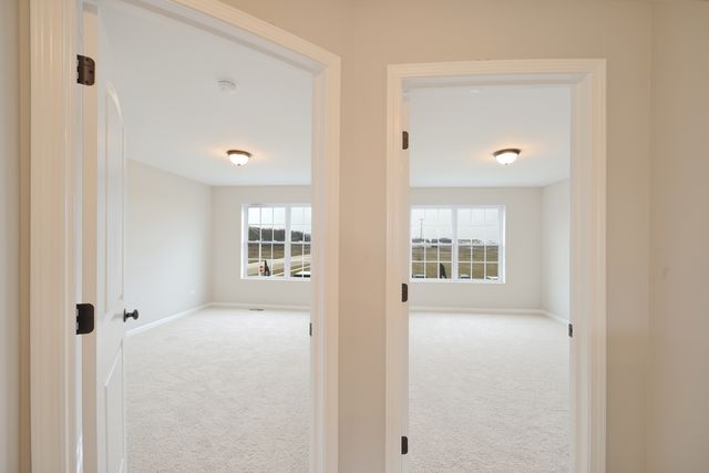 25902 W Ravine Woods Drive, Channahon, IL 60410