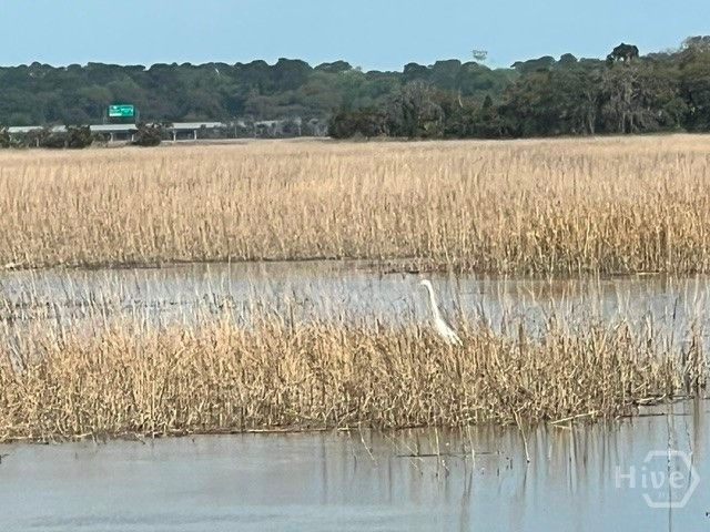 9563 Whitefield Avenue, Savannah, GA 31406