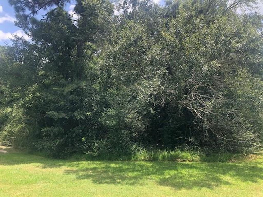 0000 County Road 2134 Off Of Milvid, Cleveland, TX 77369