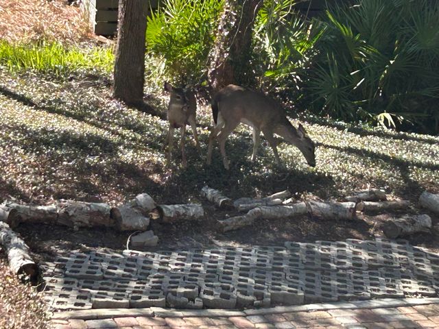 75 N Bishop Road, Santa Rosa Beach, FL 32459