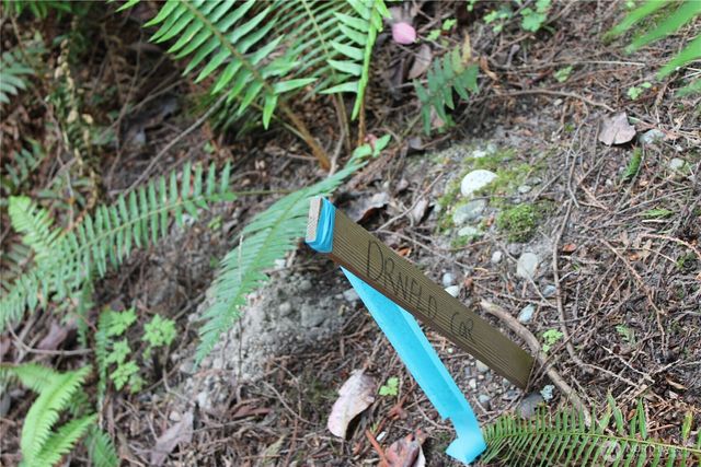 85 Quinault Loop, Port Townsend, WA 98368