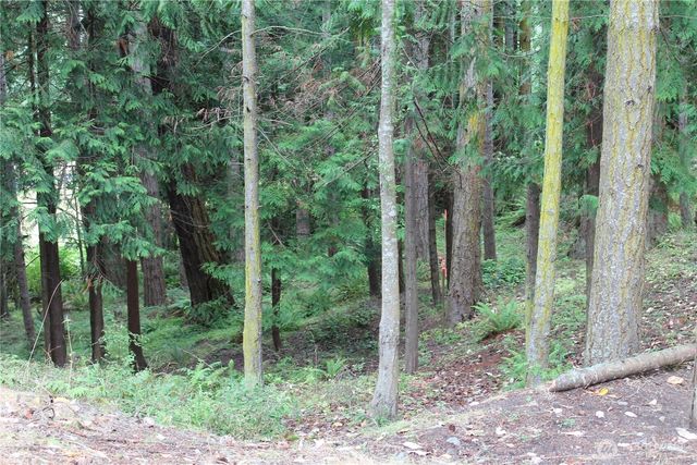 85 Quinault Loop, Port Townsend, WA 98368