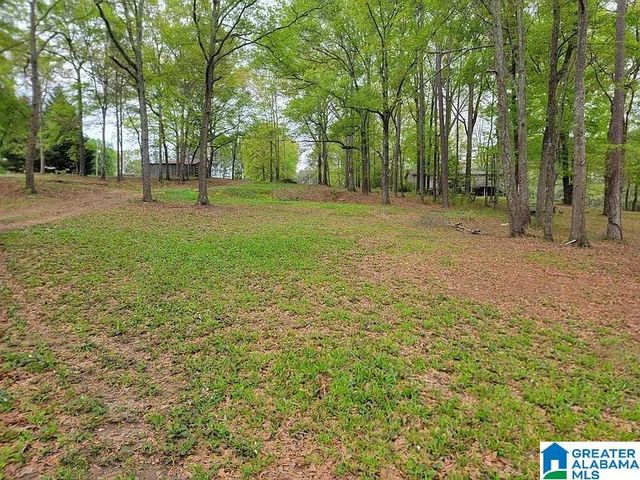 105 RIVERCREST LANE, Vincent, AL 35178