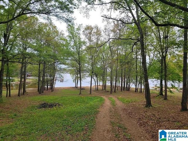 95 RIVERCREST LANE, Vincent, AL 35178